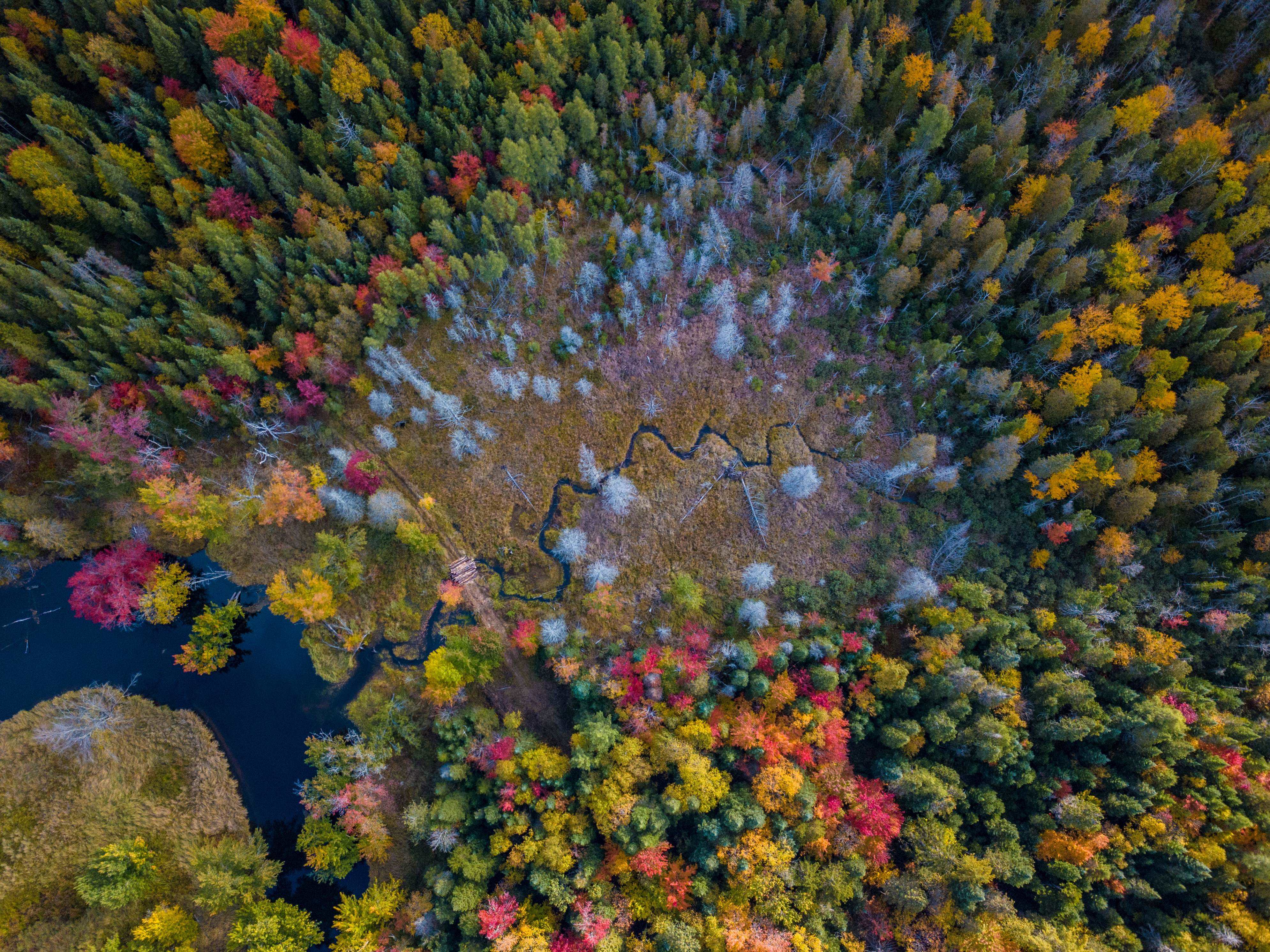 Saranac Lake Waterfront Resort – NY Green Bank