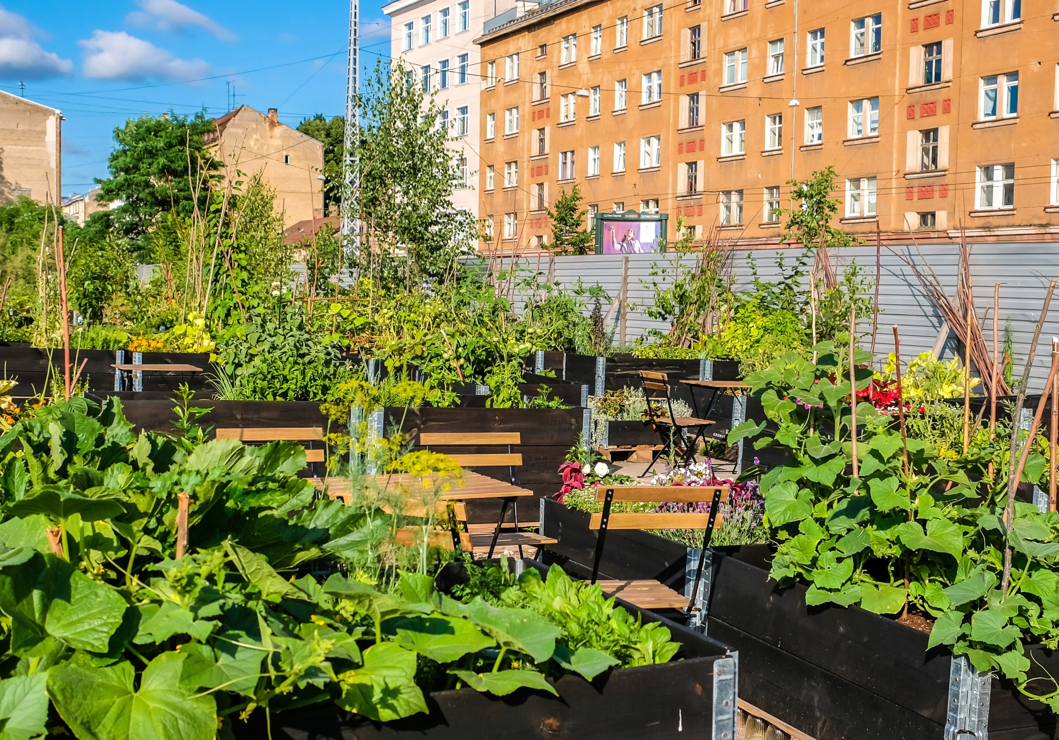 Urban Garden